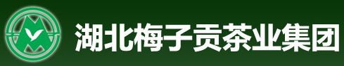 全自動(dòng)金銀花殺青烘干生產(chǎn)線(xiàn)在梅子貢正式投產(chǎn)